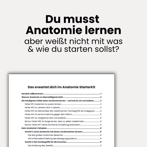 E-Book: Anatomie StarterKit