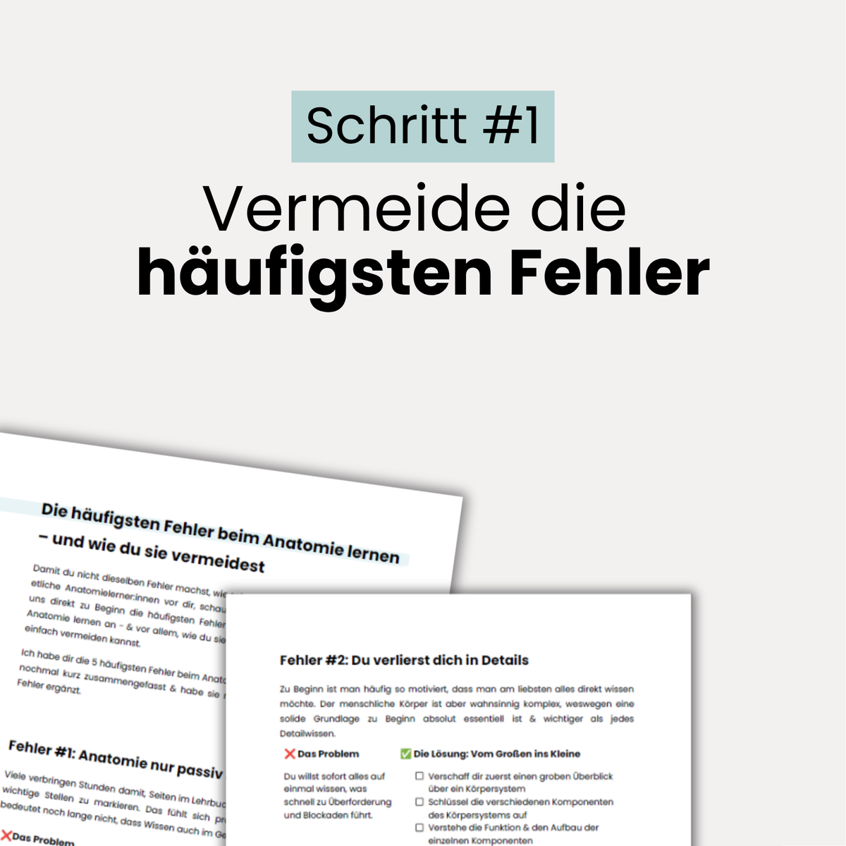 E-Book: Anatomie StarterKit