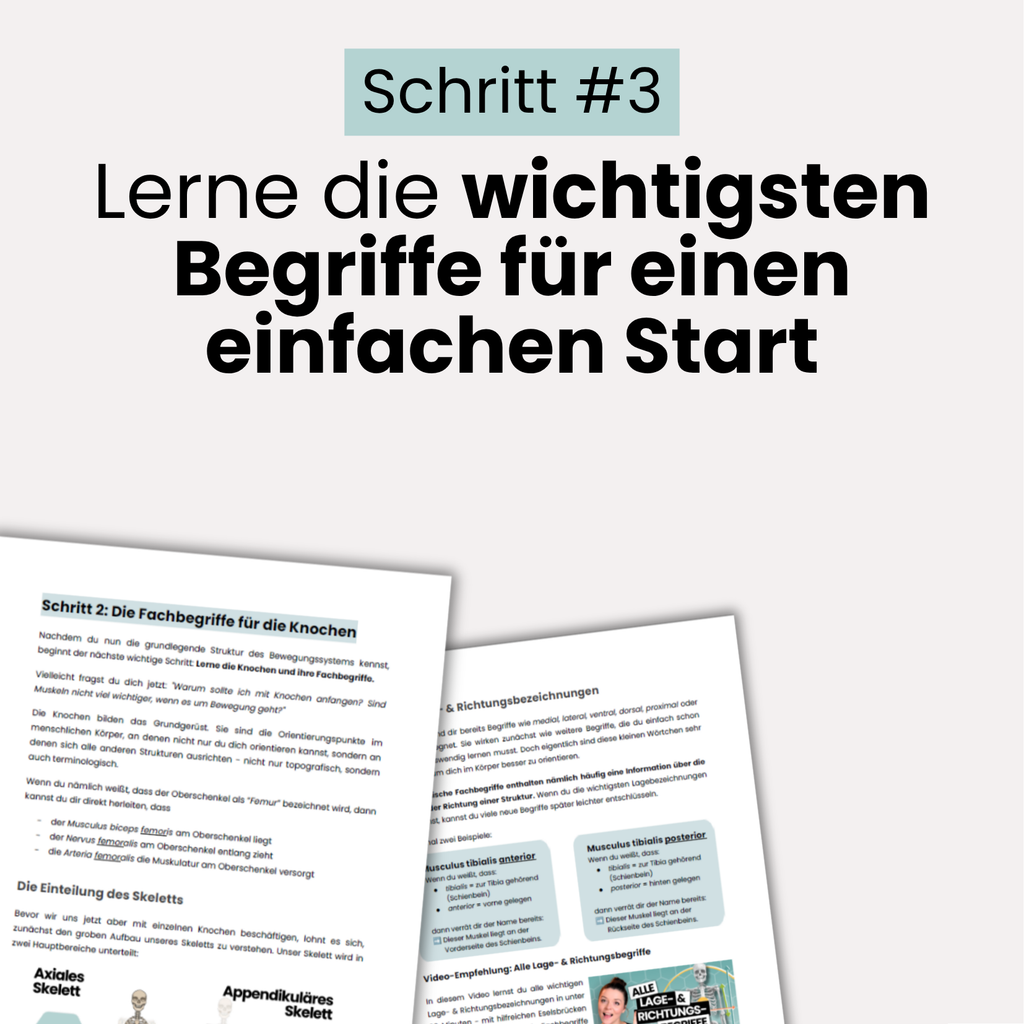 E-Book: Anatomie StarterKit