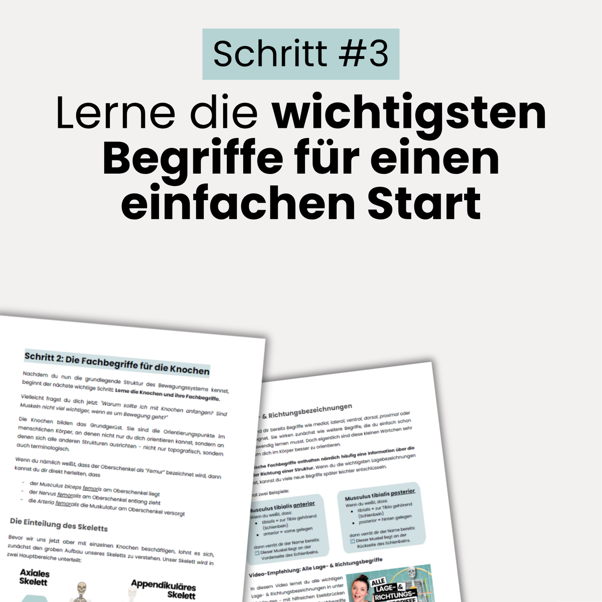 E-Book: Anatomie StarterKit
