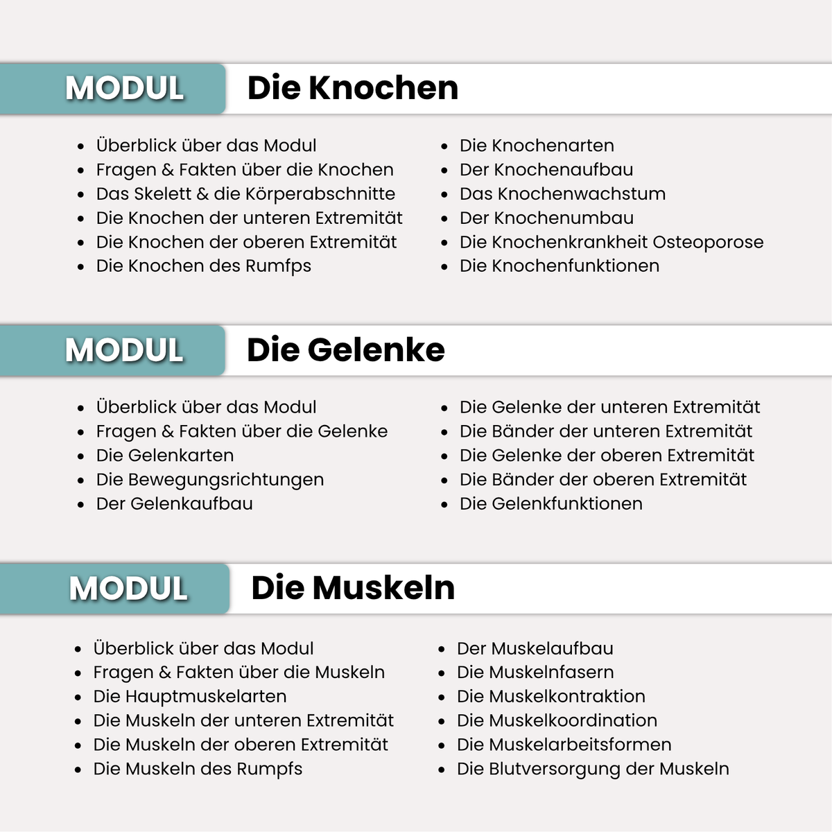 Das Bewegungssystem | Grundlagenkurs