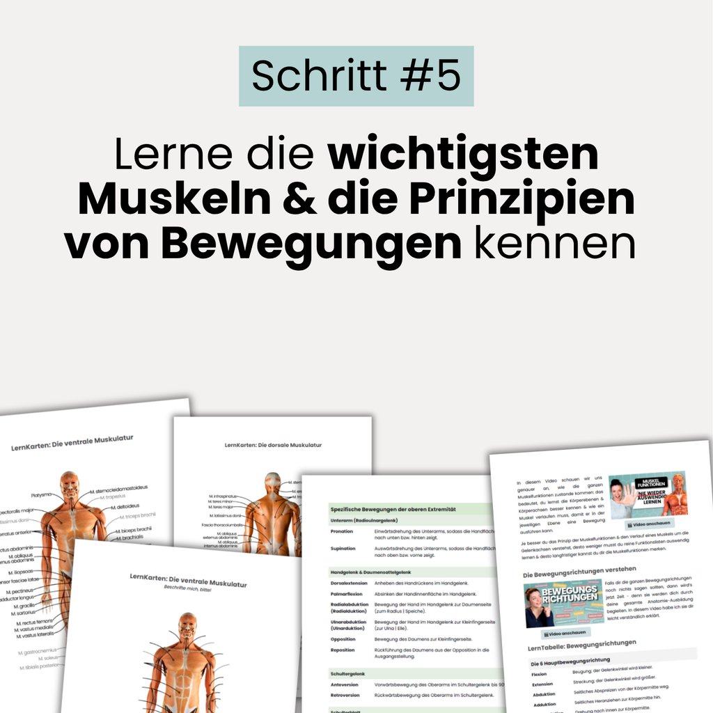 E-Book: Anatomie StarterKit