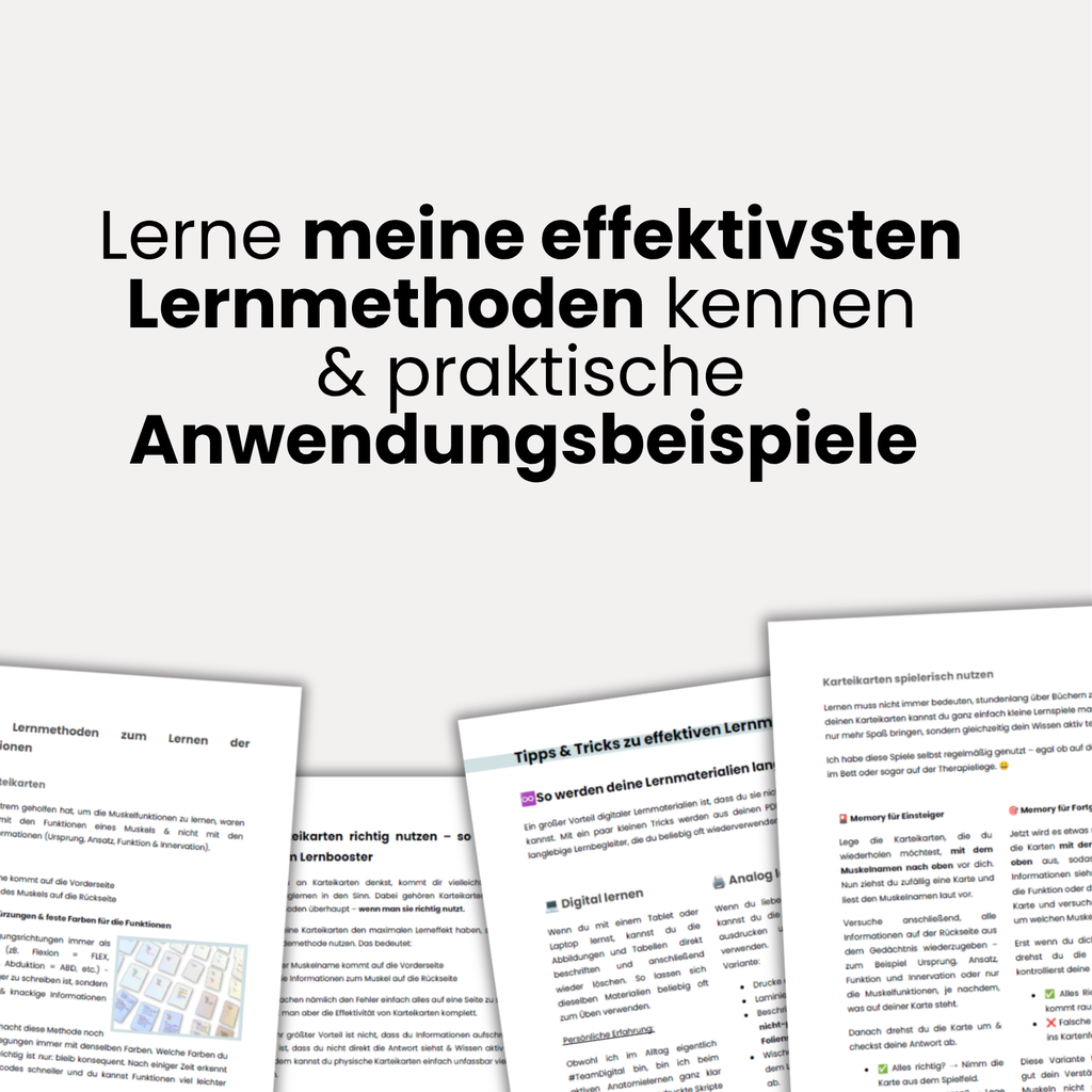 E-Book: Anatomie StarterKit