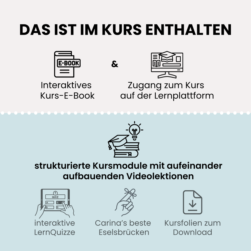 Das Bewegungssystem | Grundlagenkurs
