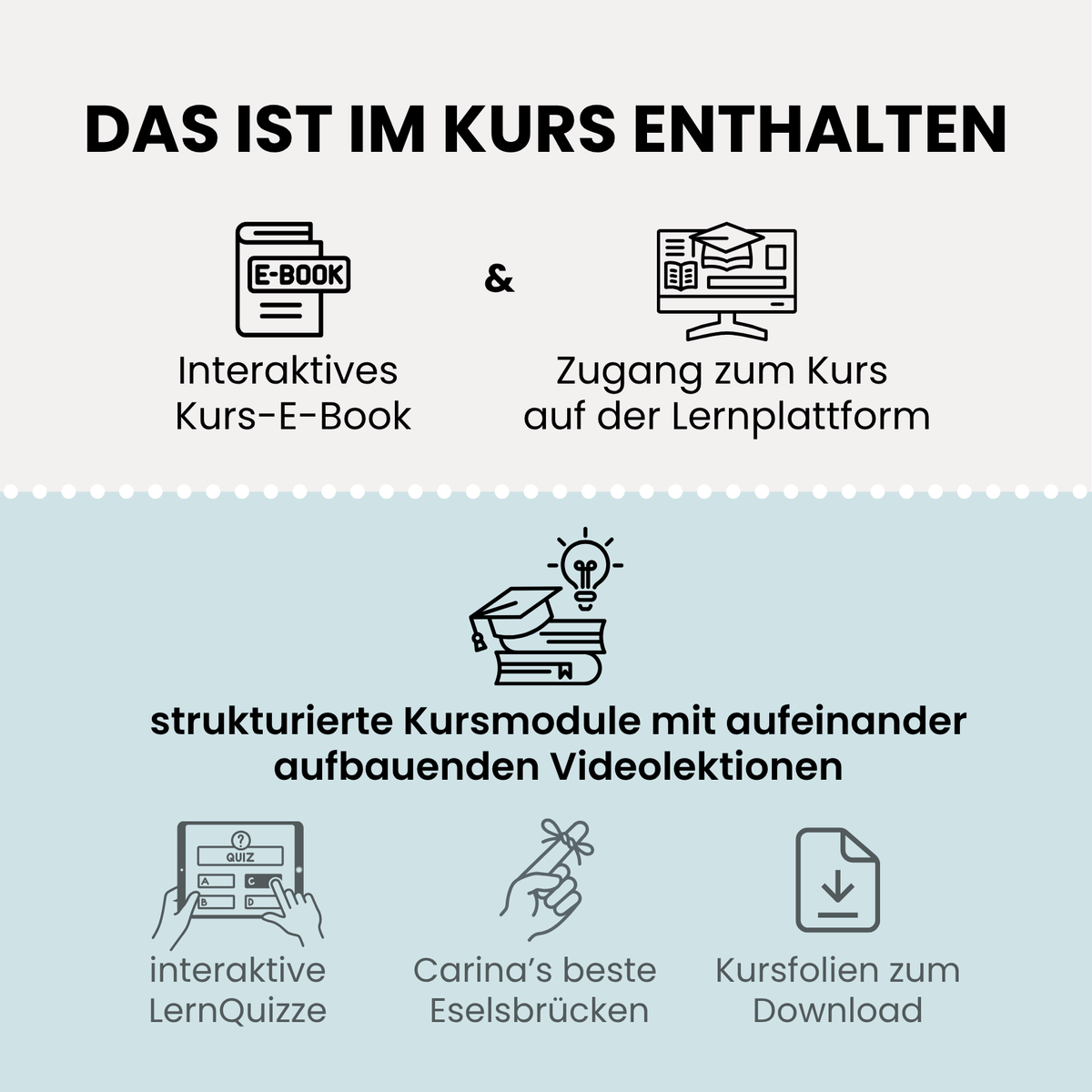 Das Bewegungssystem | Grundlagenkurs