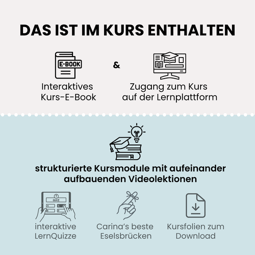 Das Bewegungssystem | Grundlagenkurs