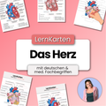 LernKarten 'Das Herz'