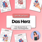 LernKarten 'Das Herz'