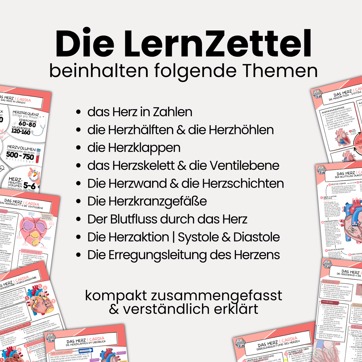 LernZettel 'Anatomie des Herzens'