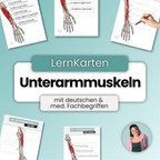 LernKarten 'Unterarmmuskeln'