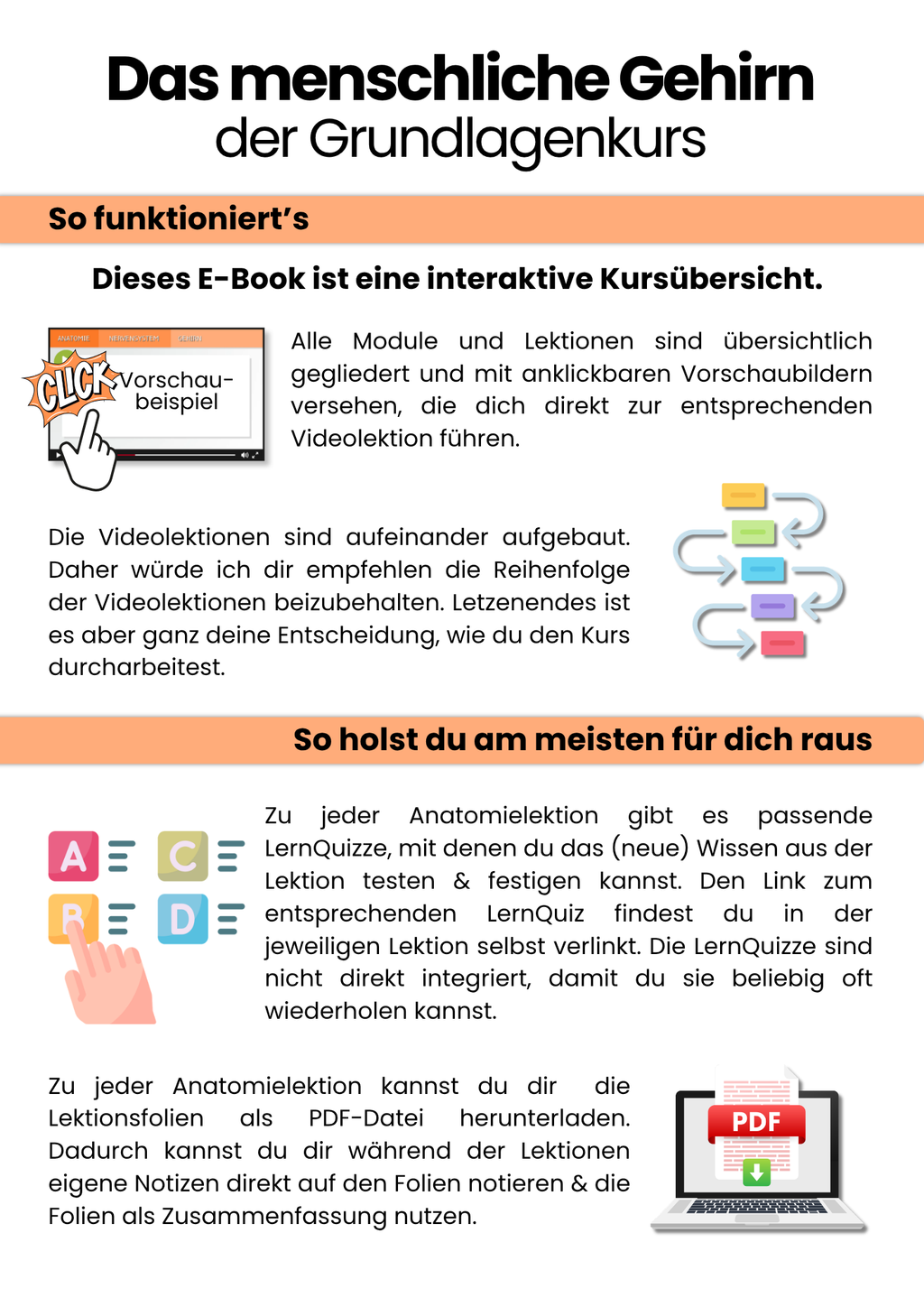 Das menschliche Gehirn | Grundlagenkurs