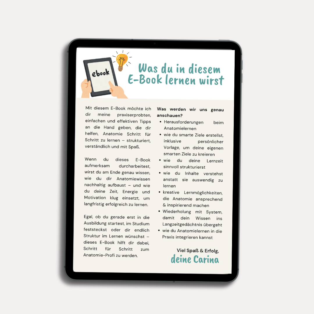 E-Book: Schritt für Schritt zum Anatomie-Profi