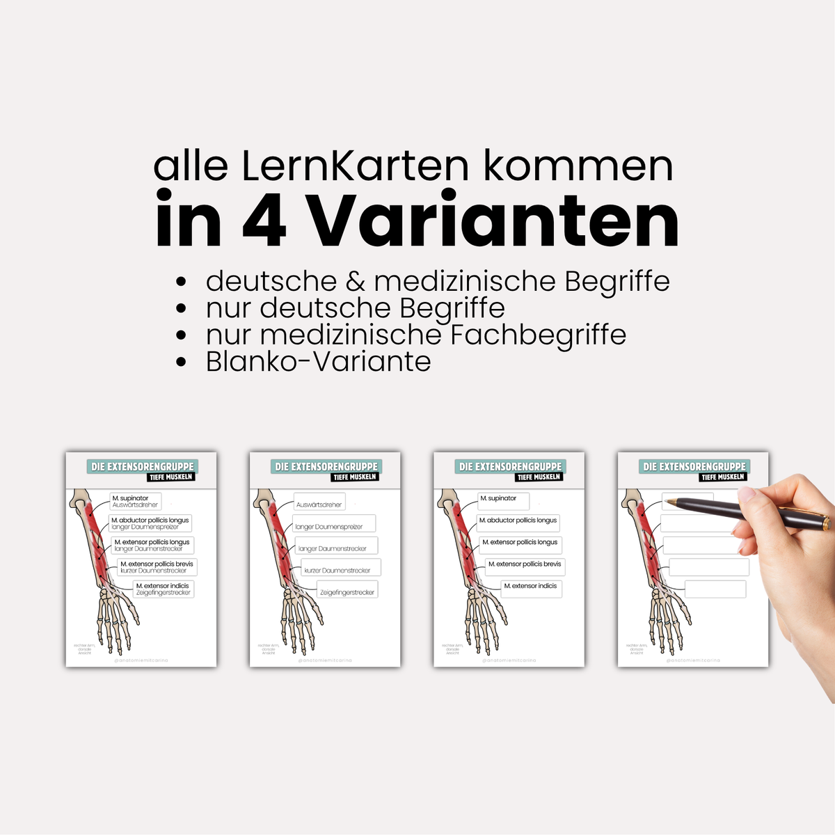 LernKarten 'Unterarmmuskeln'