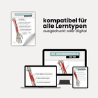 LernKarten 'Unterarmmuskeln'