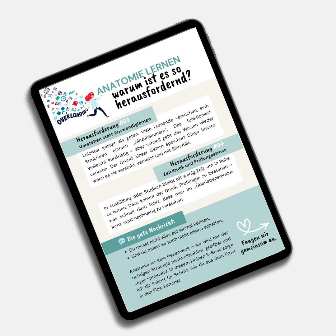 E-Book: Schritt für Schritt zum Anatomie-Profi