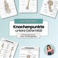 LernKarten 'Knochenpunkte der unteren Extremität'
