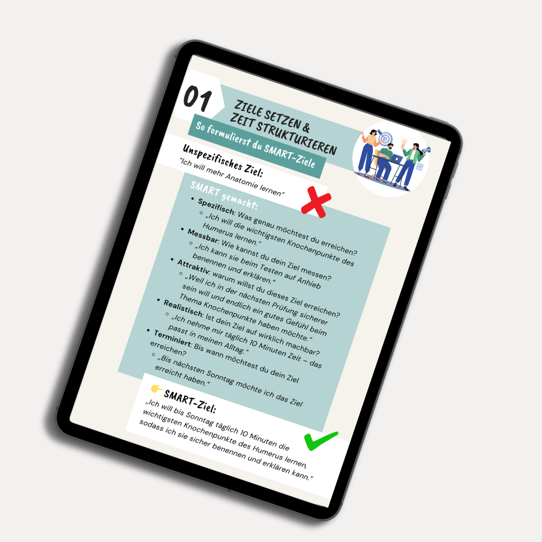 E-Book: Schritt für Schritt zum Anatomie-Profi
