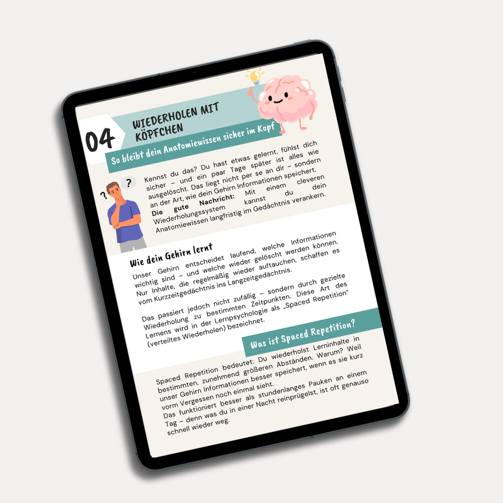 E-Book: Schritt für Schritt zum Anatomie-Profi