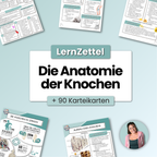 LernZettel 'Anatomie der Knochen'