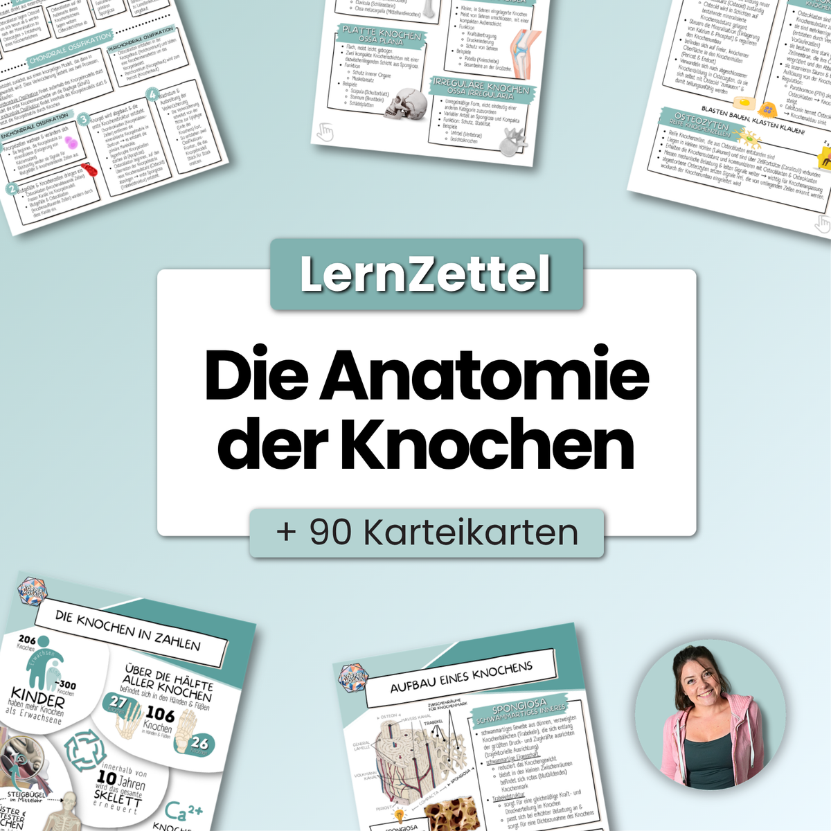LernZettel 'Anatomie der Knochen'