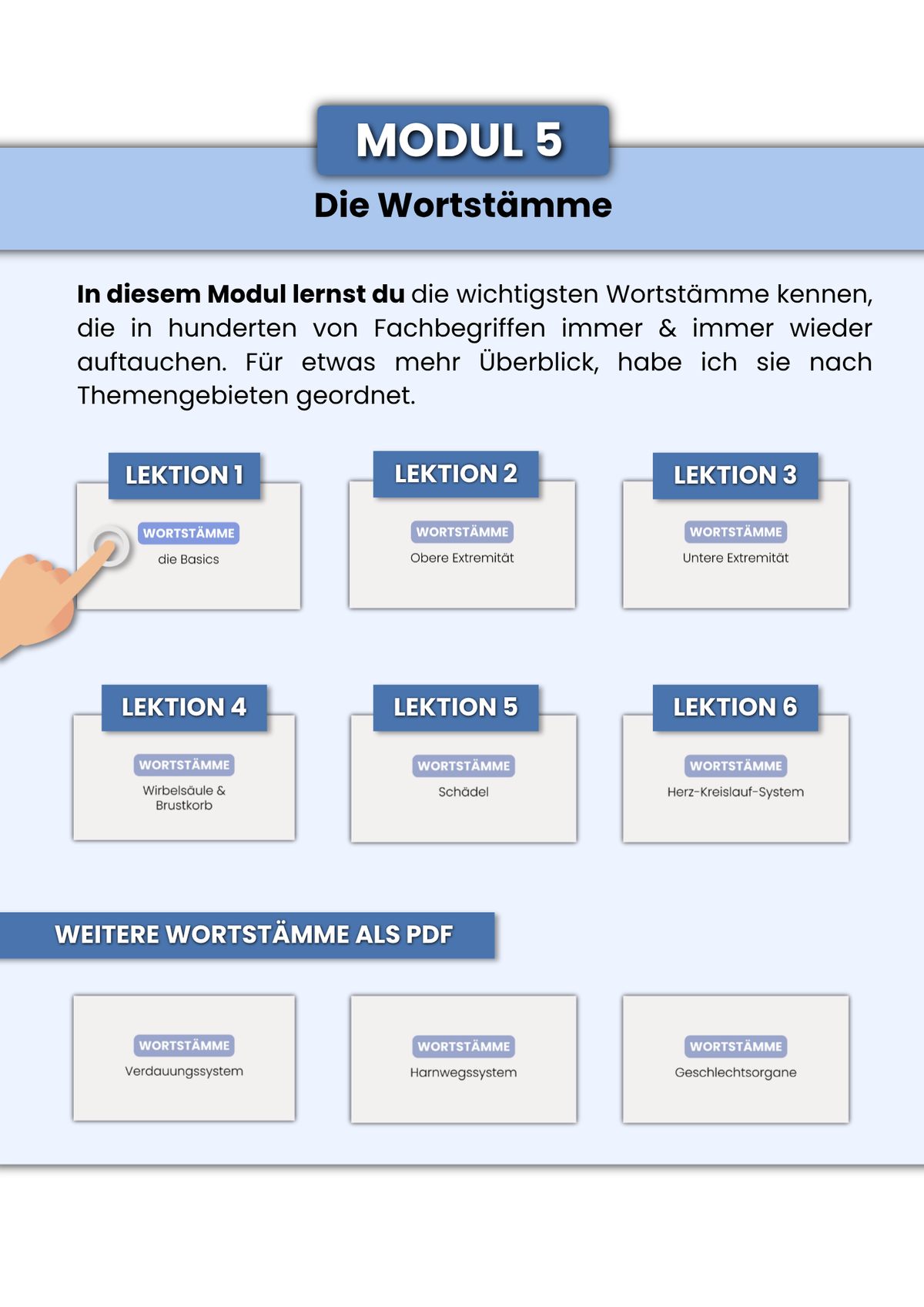 Medizinische Fachbegriffe entschlüsseln